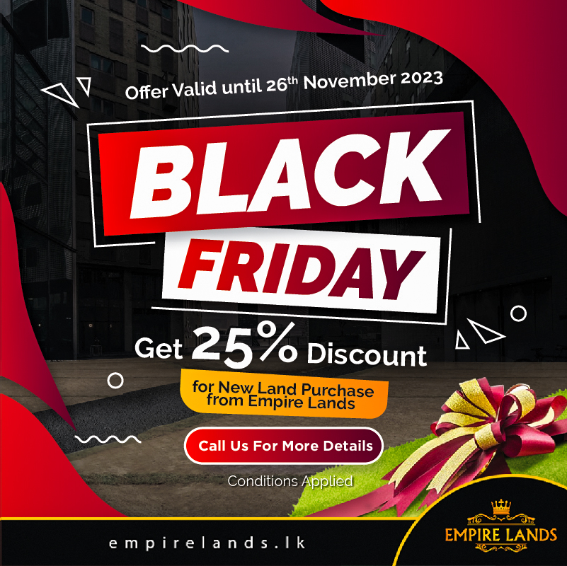Black Friday Promotion